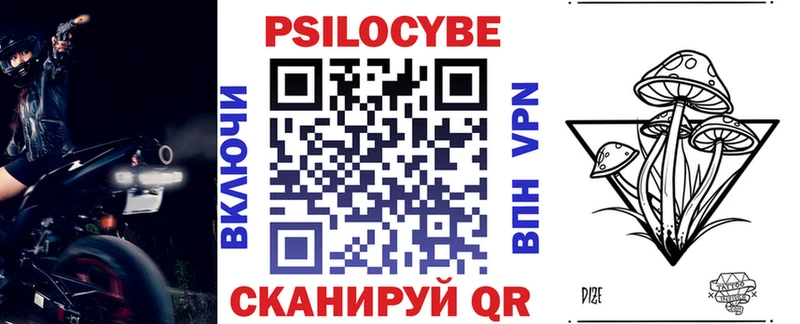 Псилоцибиновые грибы Psilocybe  купить  цена  omg ссылки  Дедовск 